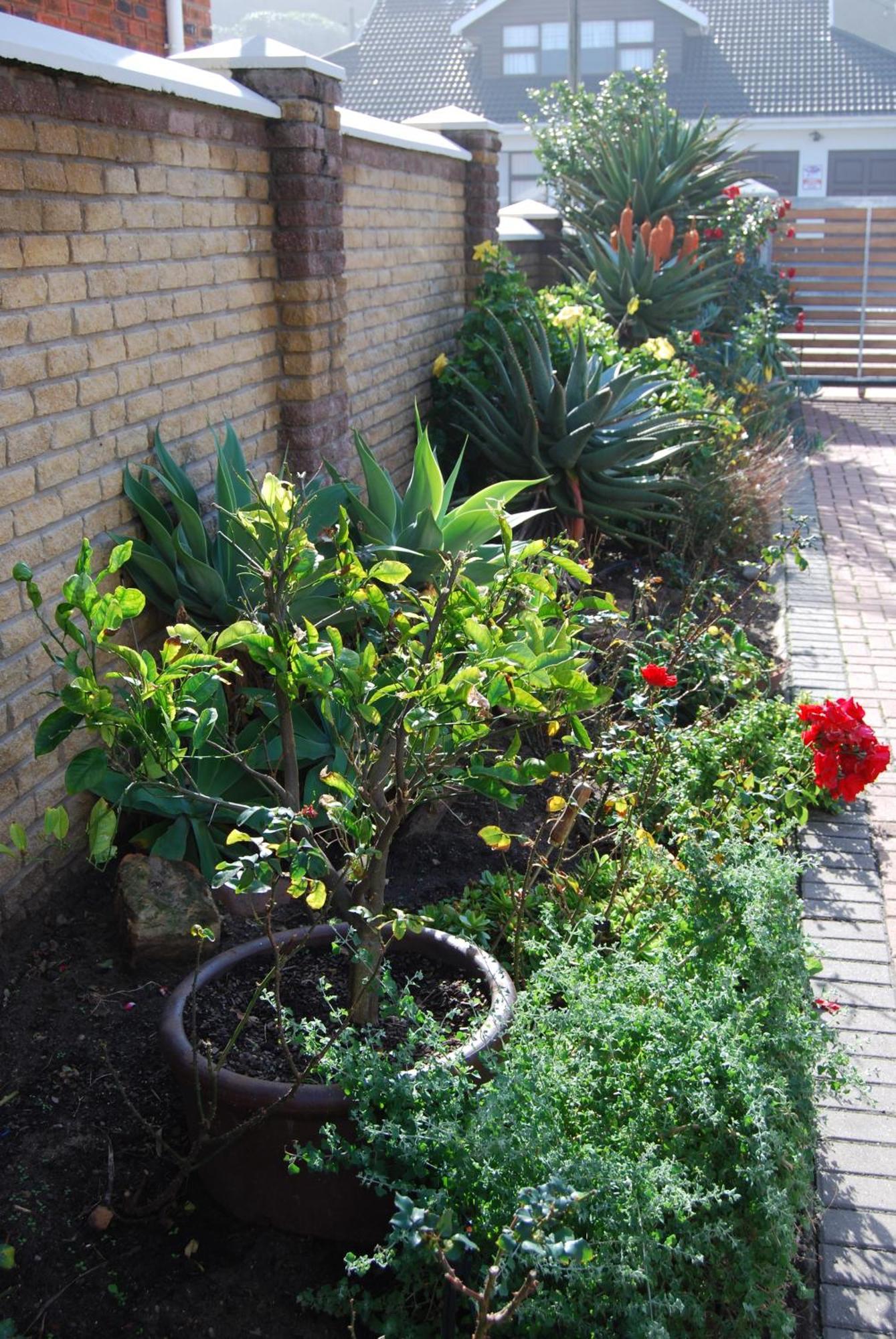 Glentana Hoboken Apartment